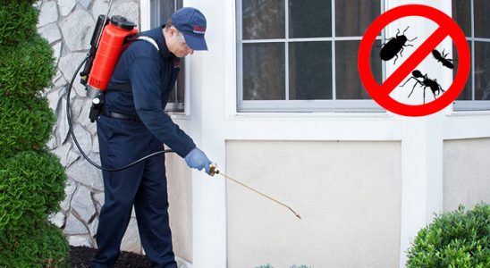 Kozan Tahtakurusu İlaçlama böcek ilaçlama ve haşere kontrolü — ilaclama-tr.com